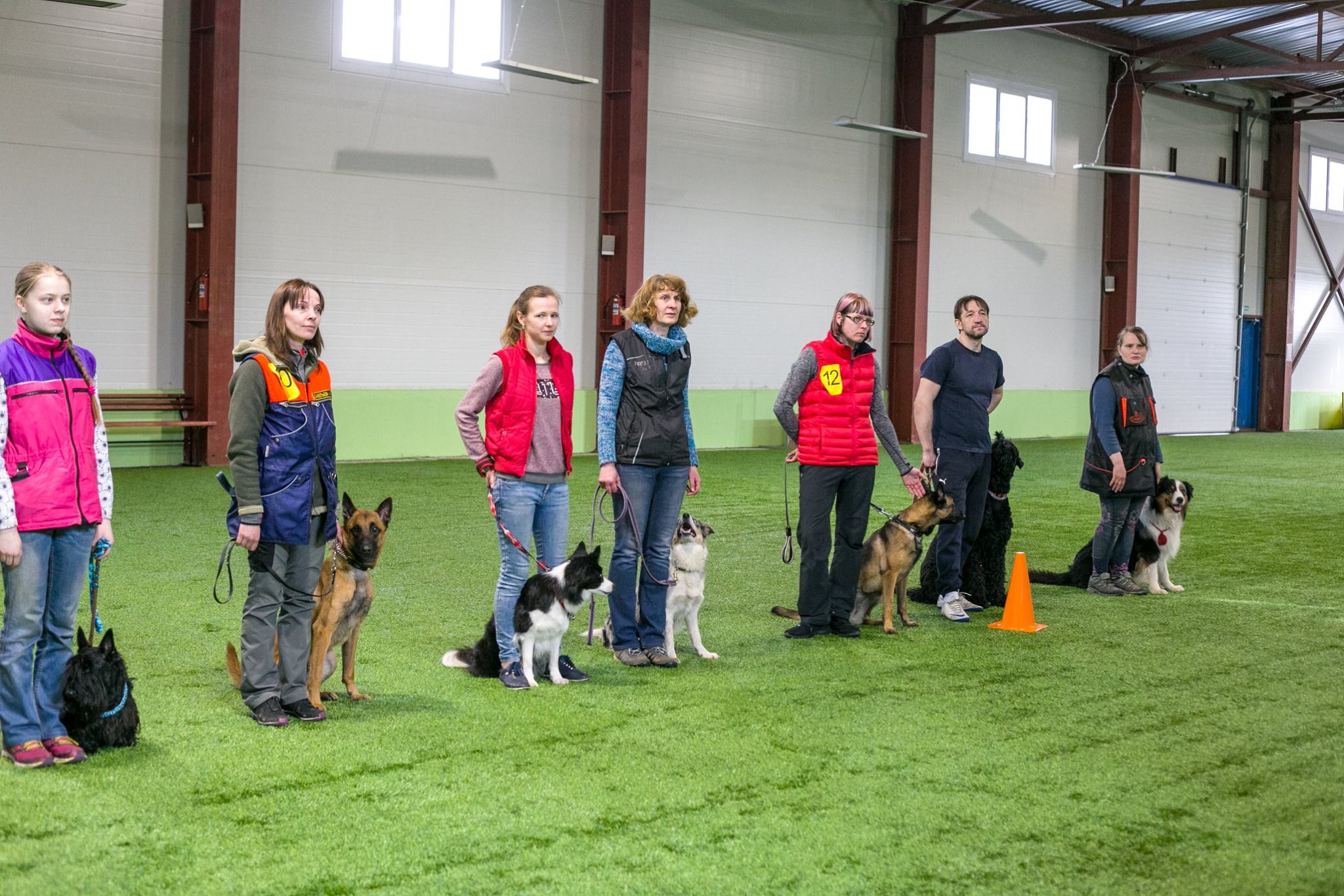 Спортивная Подготовка Собак Курсовая Работа