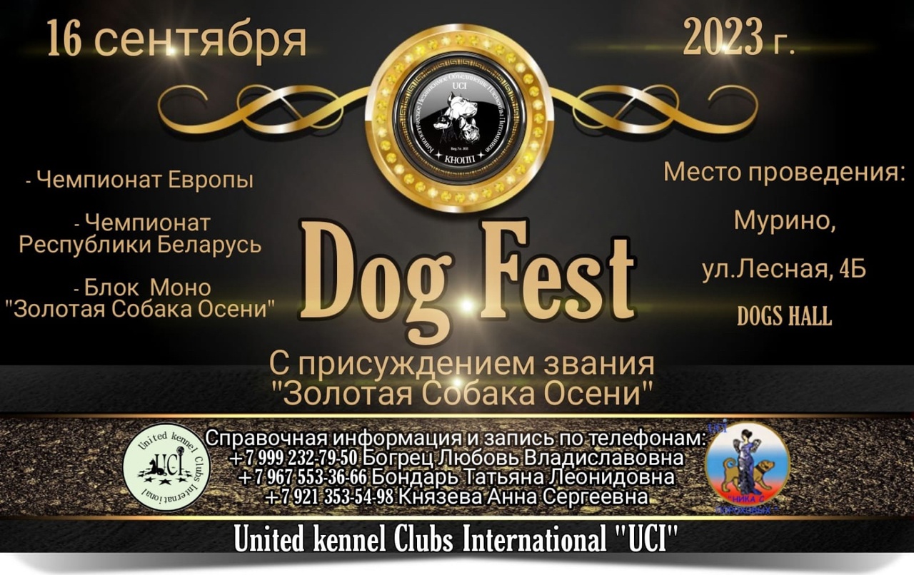 Традиционное осеннее шоу "Dog Fest"