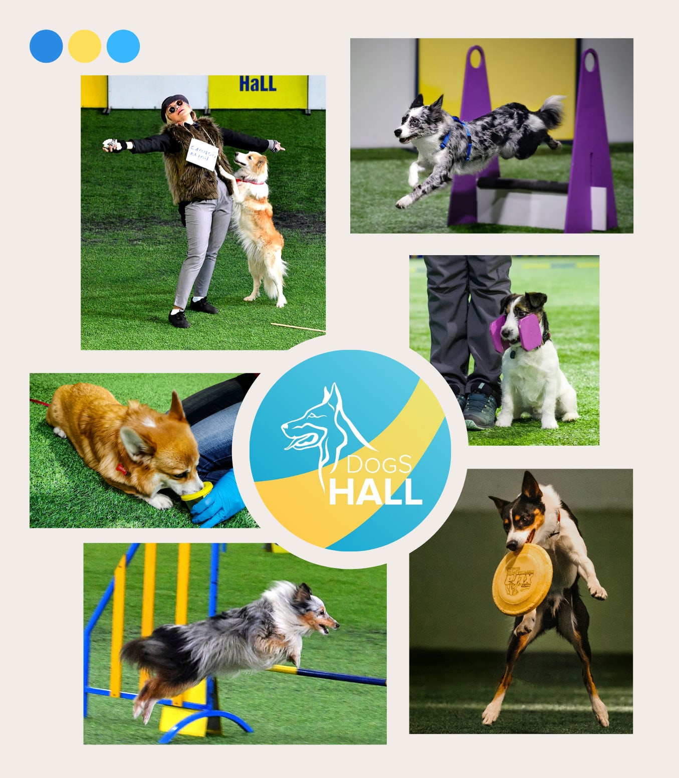 Dogs hall