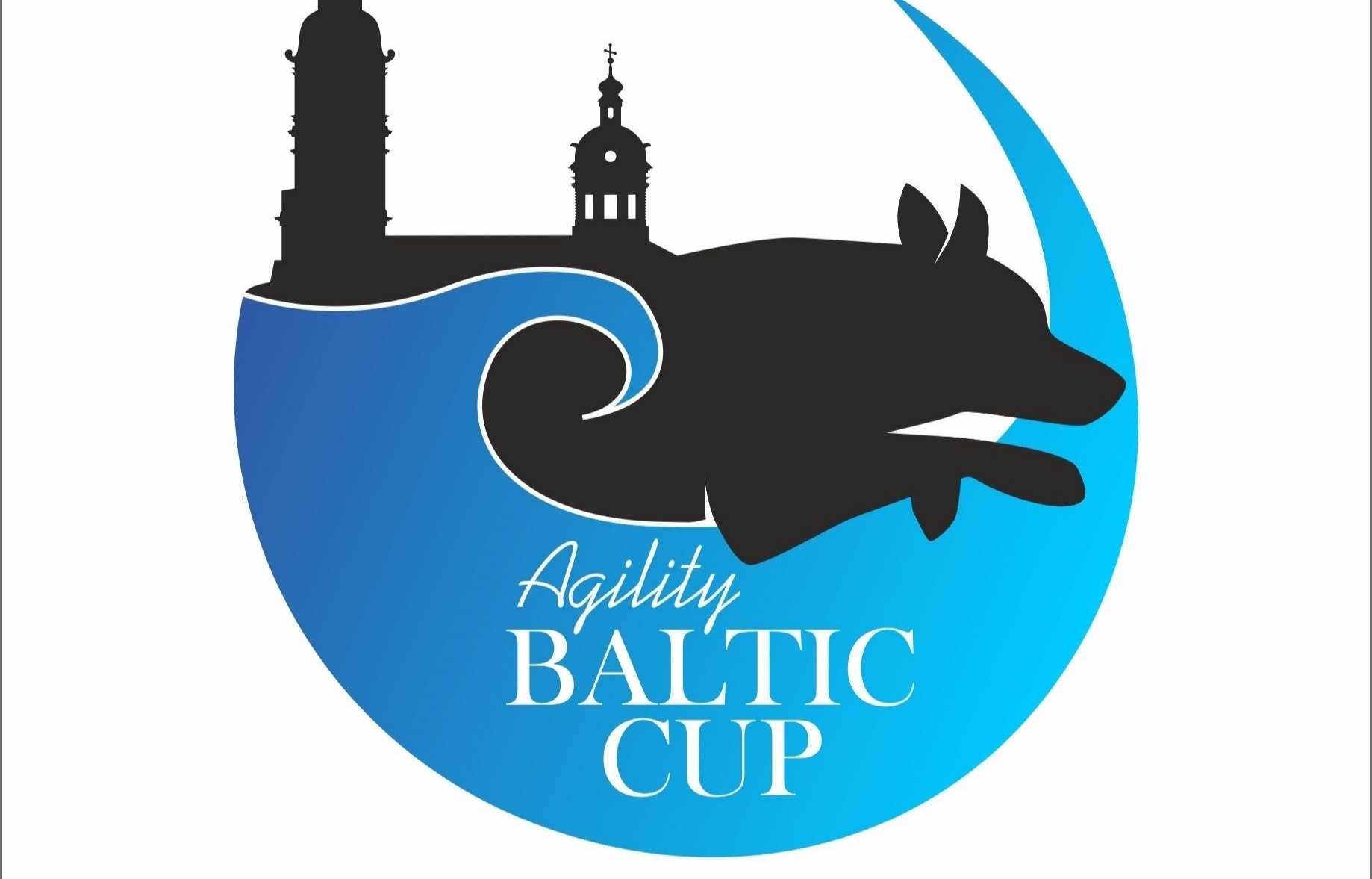 Пятый этап AGILITY BALTIC CUP!